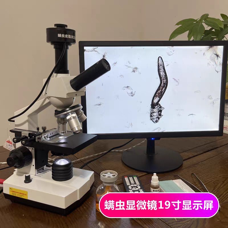 Demodex detection microscope with 19-inch display